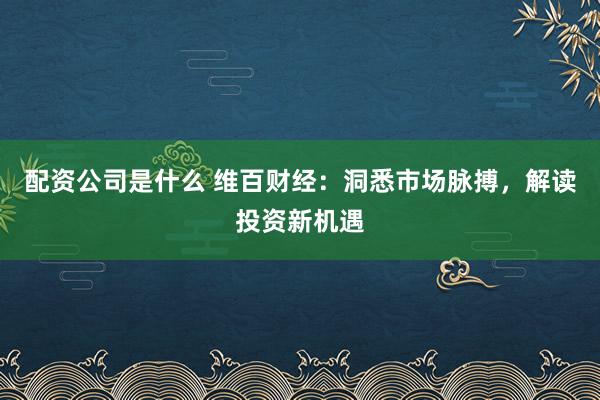配资公司是什么 维百财经：洞悉市场脉搏，解读投资新机遇