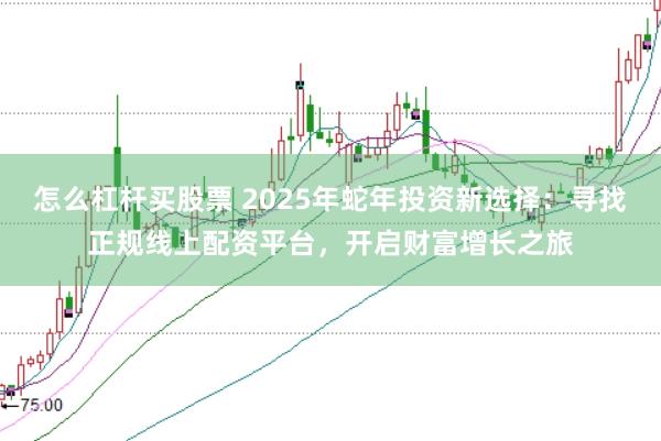 怎么杠杆买股票 2025年蛇年投资新选择：寻找正规线上配资平台，开启财富增长之旅