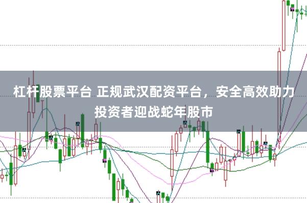 杠杆股票平台 正规武汉配资平台，安全高效助力投资者迎战蛇年股市