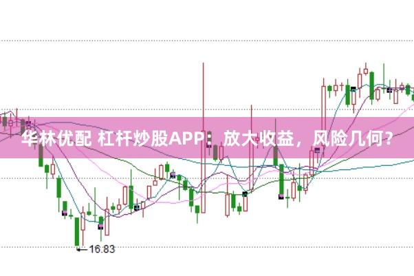 华林优配 杠杆炒股APP：放大收益，风险几何？