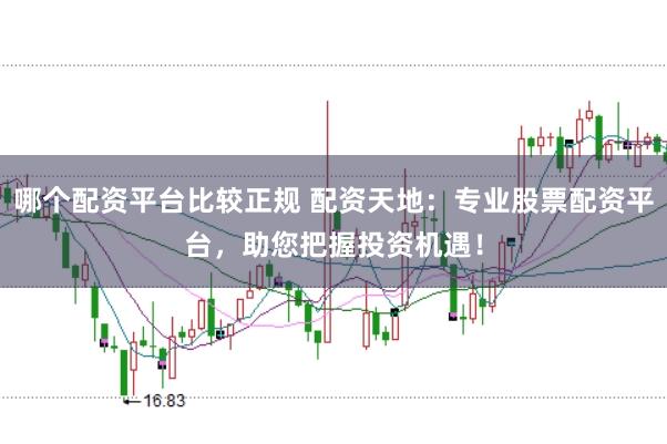 哪个配资平台比较正规 配资天地：专业股票配资平台，助您把握投资机遇！