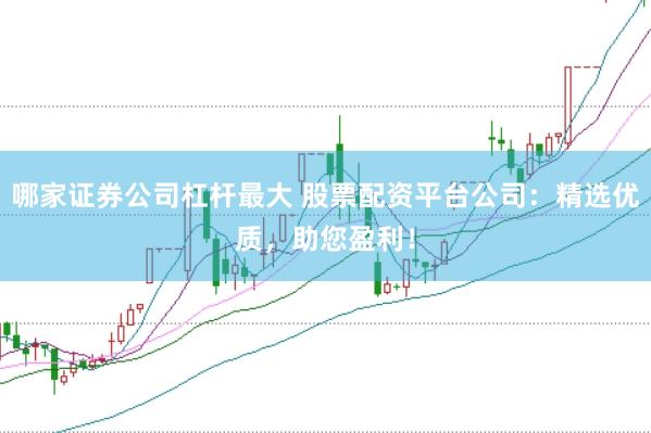 哪家证券公司杠杆最大 股票配资平台公司：精选优质，助您盈利！