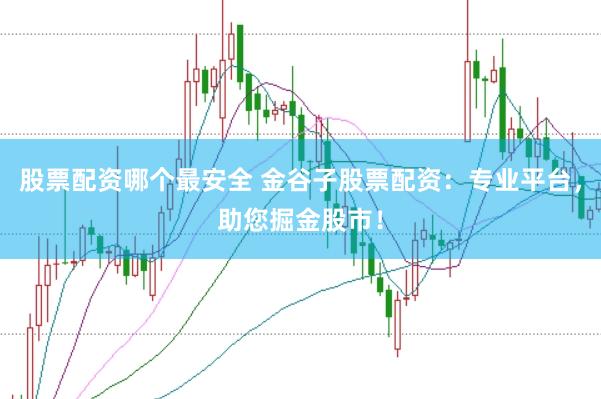 股票配资哪个最安全 金谷子股票配资：专业平台，助您掘金股市！