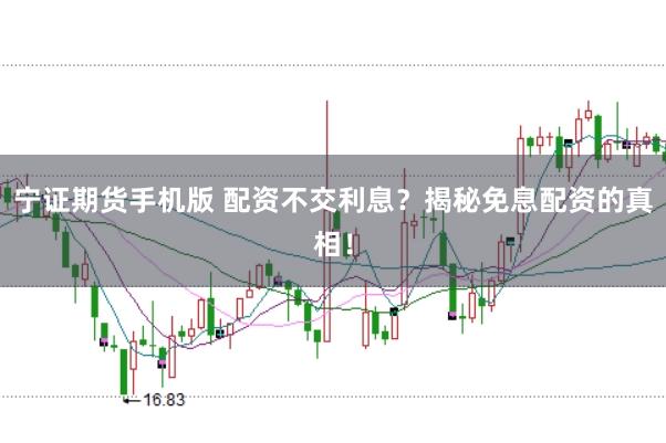 宁证期货手机版 配资不交利息？揭秘免息配资的真相！