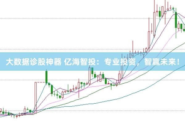大数据诊股神器 亿海智投：专业投资，智赢未来！