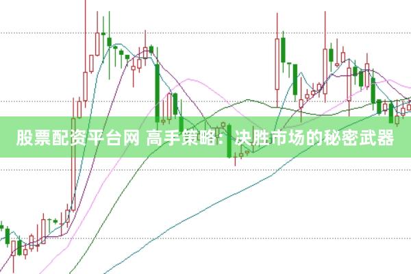 股票配资平台网 高手策略：决胜市场的秘密武器