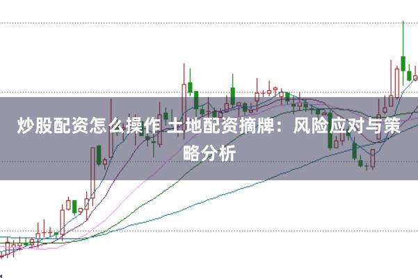 炒股配资怎么操作 土地配资摘牌：风险应对与策略分析