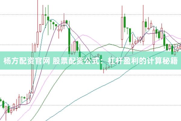 杨方配资官网 股票配资公式：杠杆盈利的计算秘籍