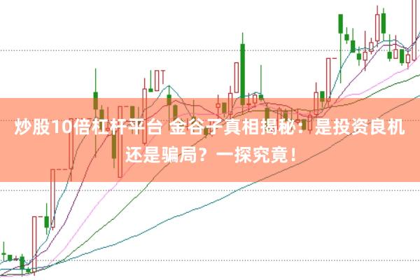 炒股10倍杠杆平台 金谷子真相揭秘：是投资良机还是骗局？一探究竟！