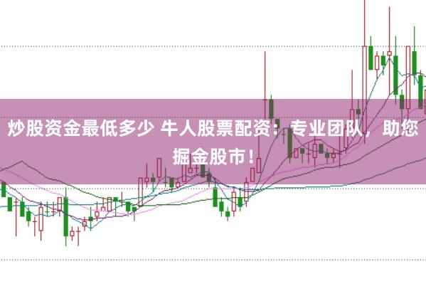 炒股资金最低多少 牛人股票配资:专业团队,助您掘金股市!