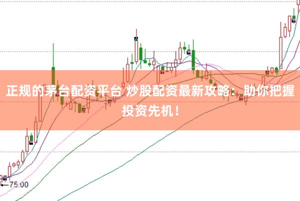 正规的茅台配资平台 炒股配资最新攻略：助你把握投资先机！