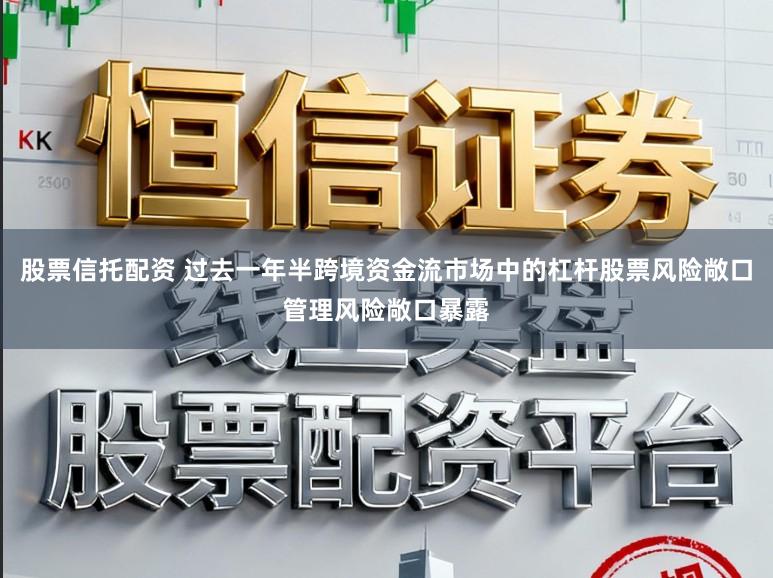 股票信托配资 过去一年半跨境资金流市场中的杠杆股票风险敞口管理风险敞口暴露