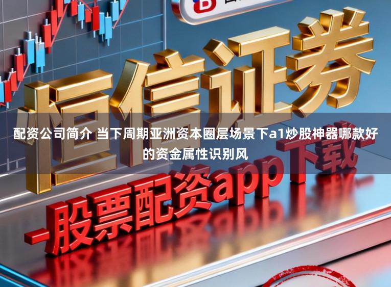 配资公司简介 当下周期亚洲资本圈层场景下a1炒股神器哪款好的资金属性识别风