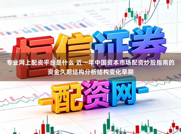 专业网上配资平台是什么 近一年中国资本市场配资炒股指南的资金久期结构分析结构变化早期